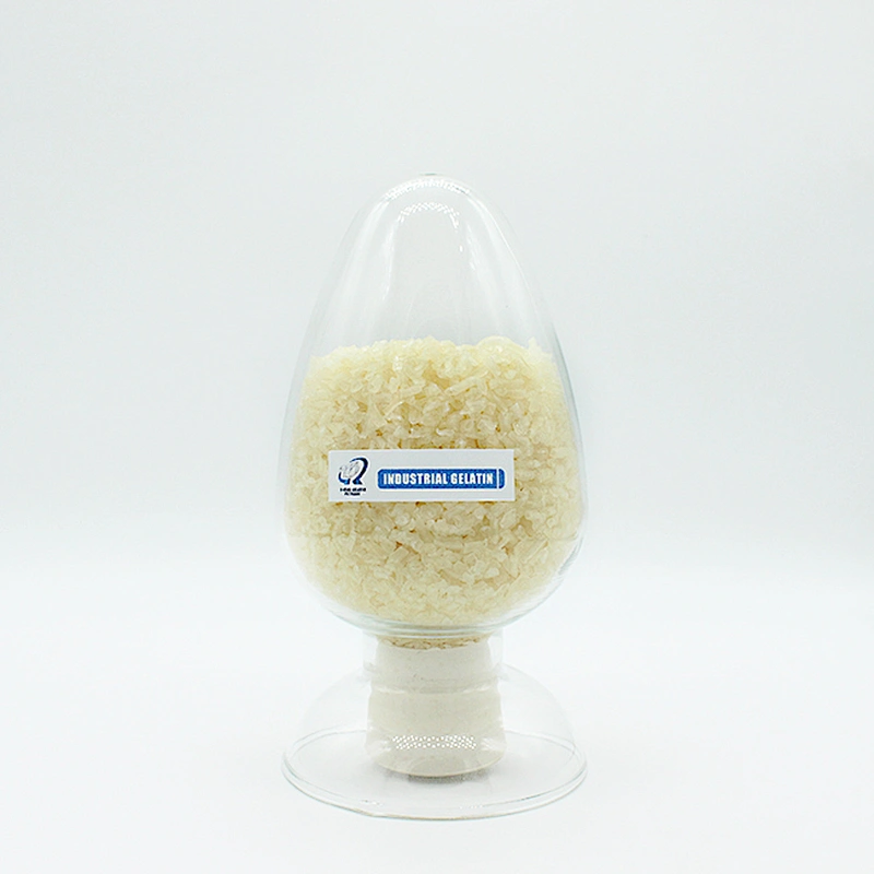 Gelatin Factory Outlet China Manufacturer High-Quality Edible Bovine beef skin halal kosher Gelatin 150-160 180 bloom