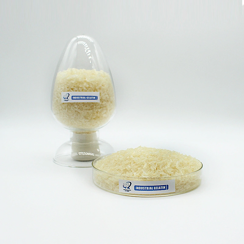 Gelatin Factory Outlet China Manufacturer High-Quality Edible Bovine beef skin halal kosher Gelatin 150-160 180 bloom
