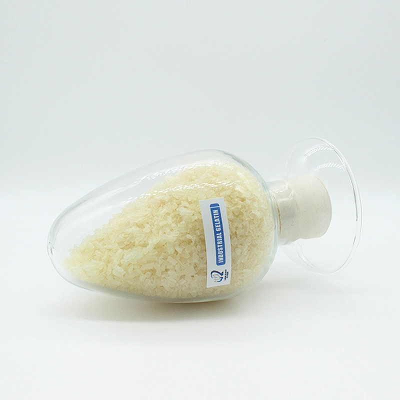 Gelatin Factory Outlet China Manufacturer High-Quality Edible Bovine beef skin halal kosher Gelatin 150-160 180 bloom